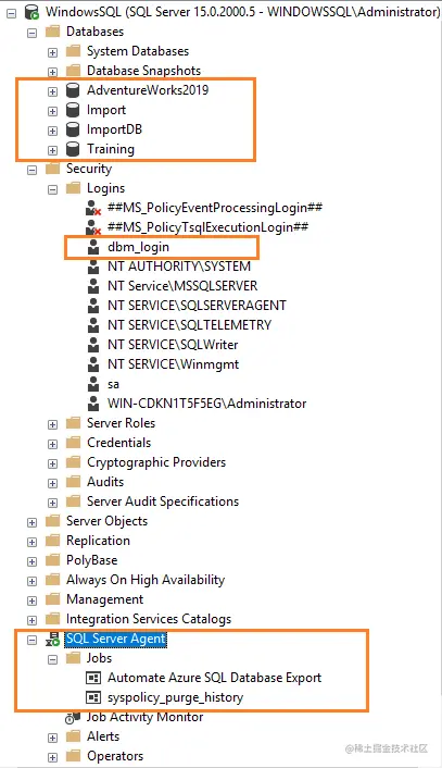 View logins and agent jobs