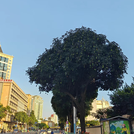 我以为_你以为于2023-05-29 14:31发布的图片