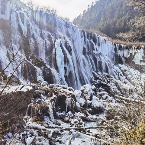 诸葛玥玥于2021-09-15 17:48发布的图片