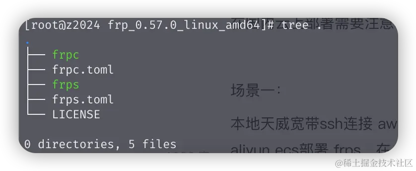 frp程序目录