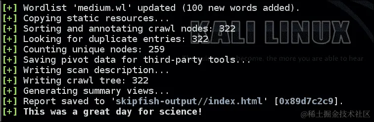 使用 SkipFish 进行扫描