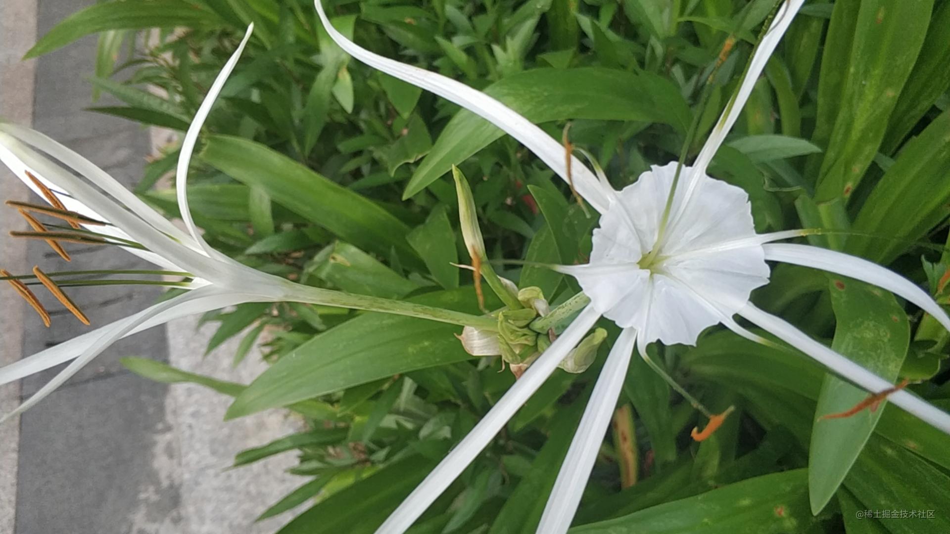 问题解决
