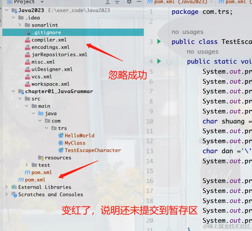 image-20230531143548602
