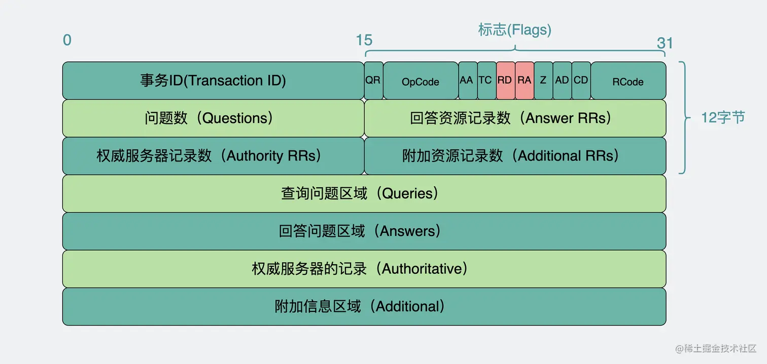 DNS报文
