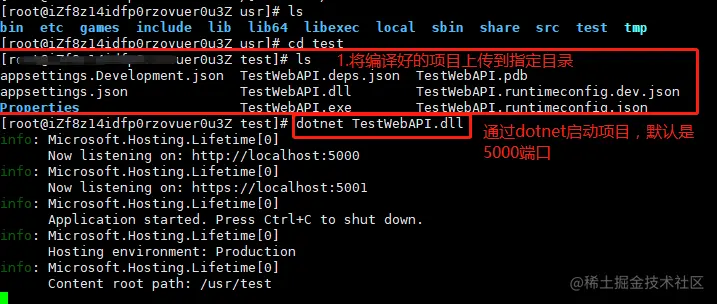 image-20210514225829951