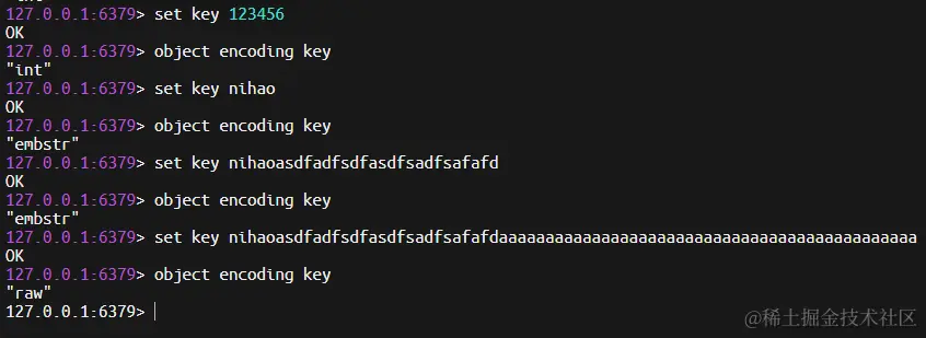 image-20240415121202198