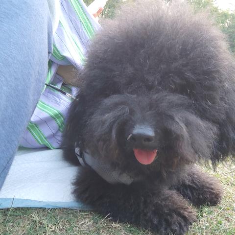 璇天凤舞于2023-05-17 01:12发布的图片