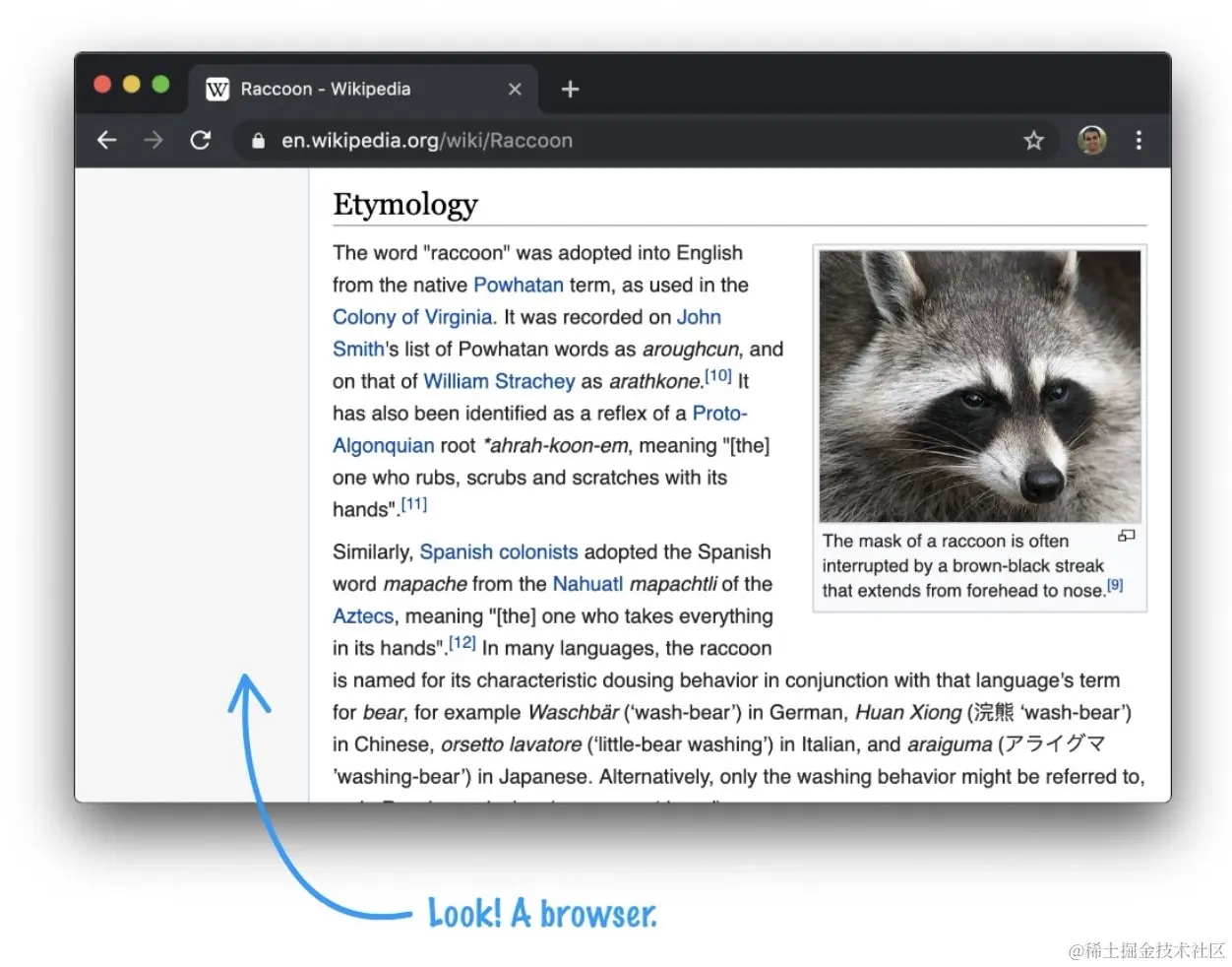 image-20220222114924513