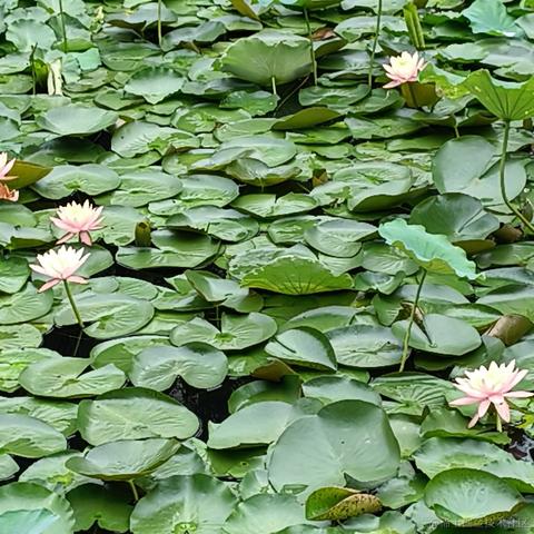 接受再见于2023-05-10 09:52发布的图片