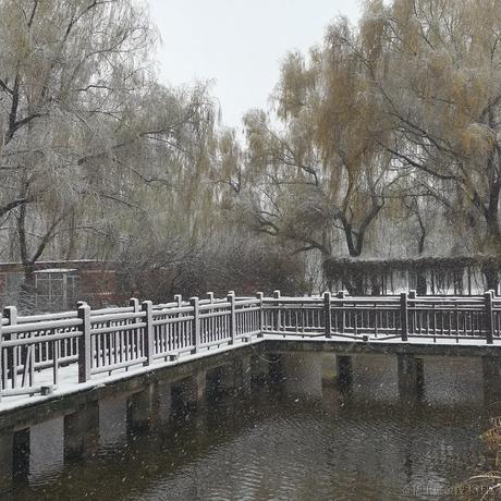 Drz于2022-11-12 15:19发布的图片