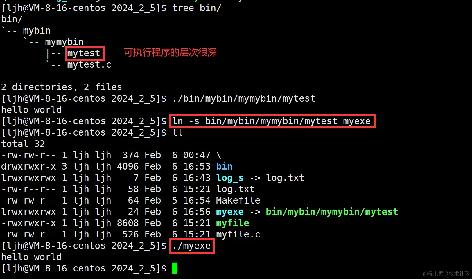 image-20240206165701639