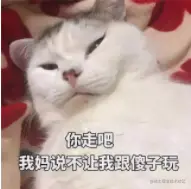 QQ截图20嗖嗖嗖210824215307.png