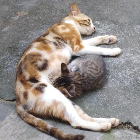 半月转转于2022-12-03 09:27发布的图片