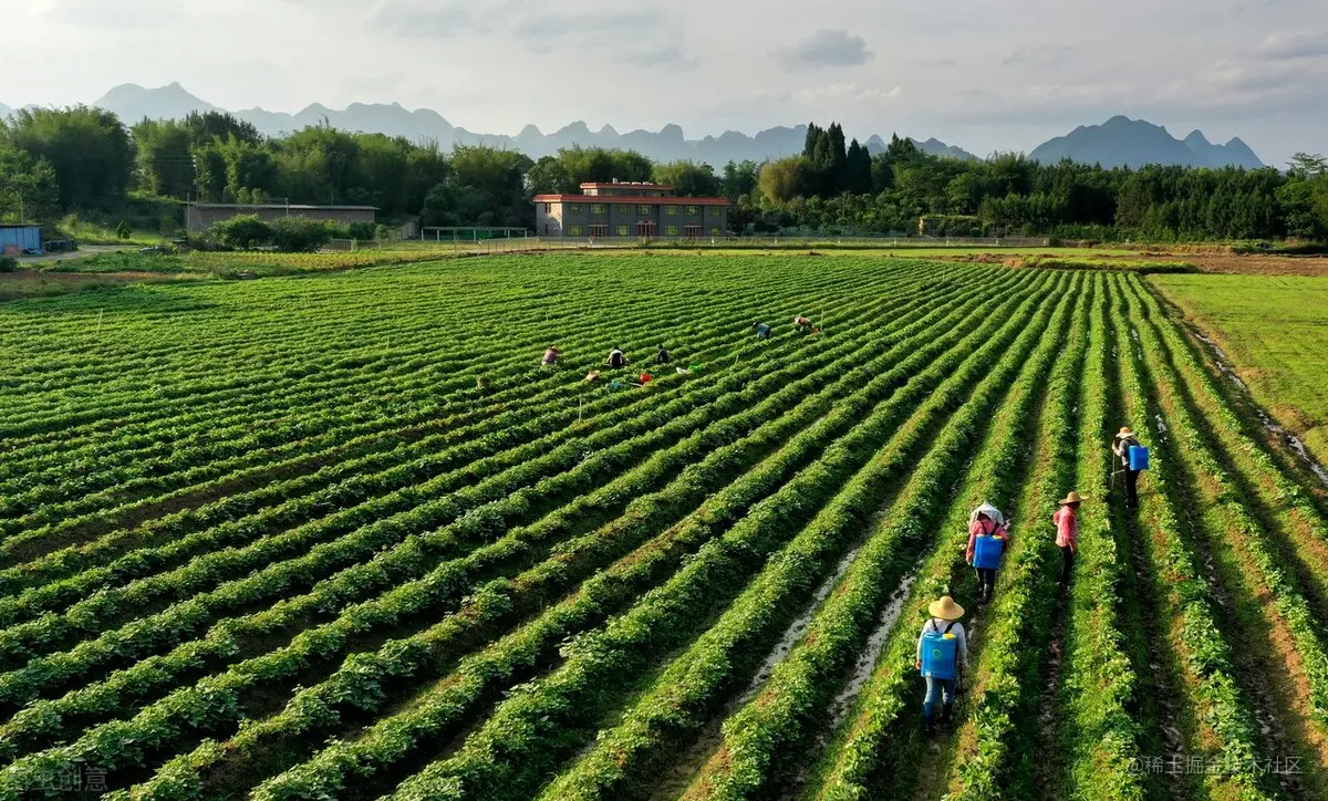 农村当前最大的红利，以及三大赚钱项目