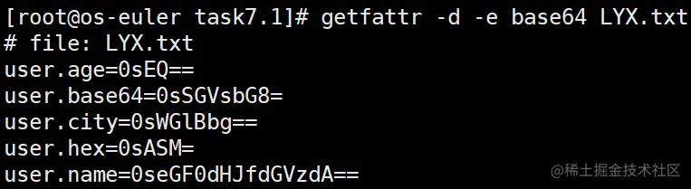 image-20211226162958177