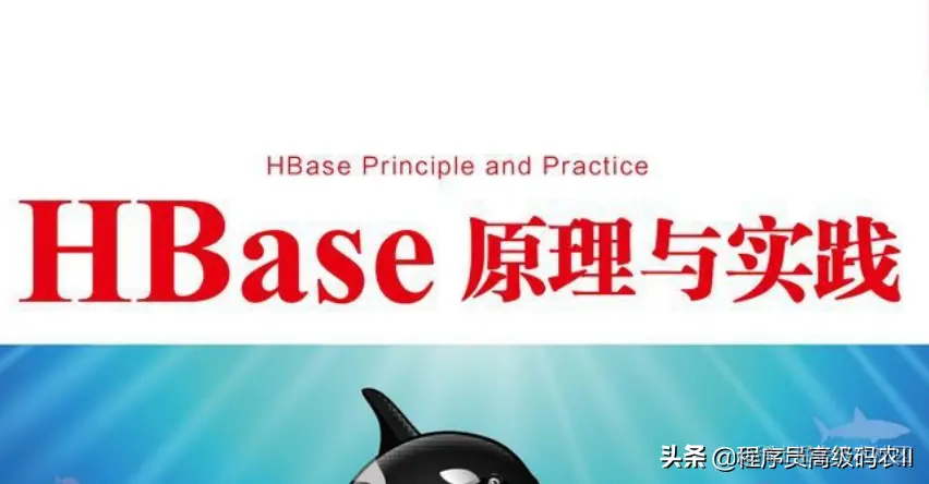 小米和网易两位资深工程师联合编写的HBASE原理与实践PDF