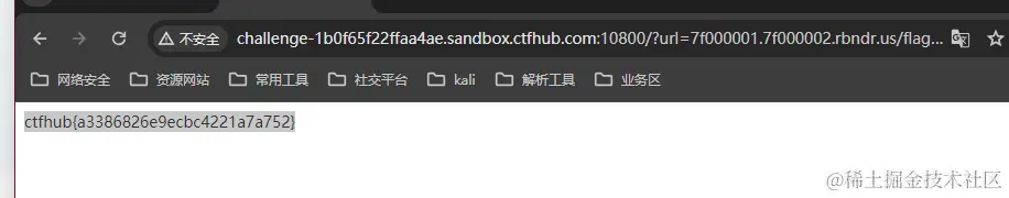 image-20240617174654673