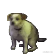 QQ图片20230223164124.gif