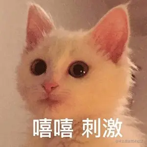 aamFhV.jpg