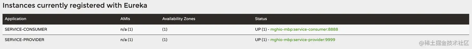 eureka-instance-registered-currently.png