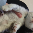 orangecat于2023-05-23 10:36发布的图片