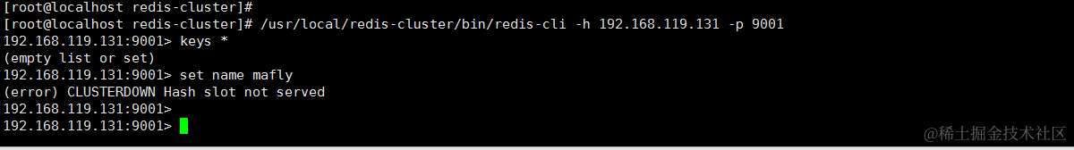 redis-server_start_test