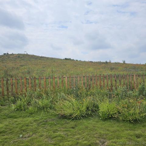 月夕花晨于2024-06-05 10:12发布的图片