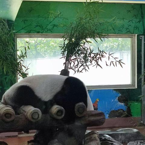 酉星于2022-06-26 16:00发布的图片