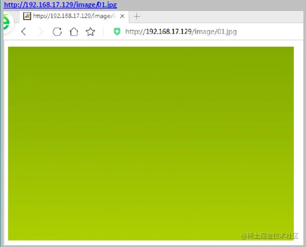 image-20201125091422910