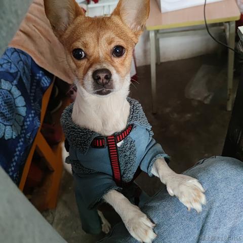 哈莉奎茵于2023-01-15 18:14发布的图片