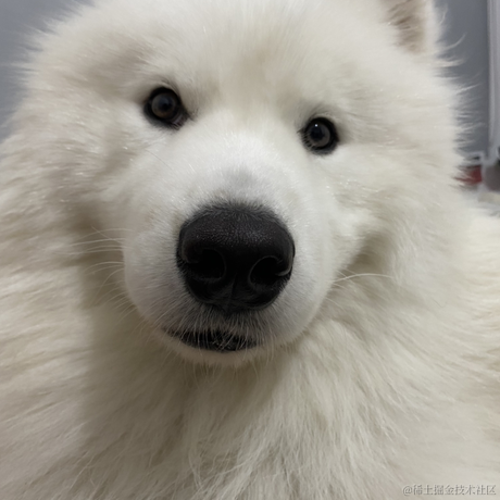 jy007于2023-05-22 22:51发布的图片