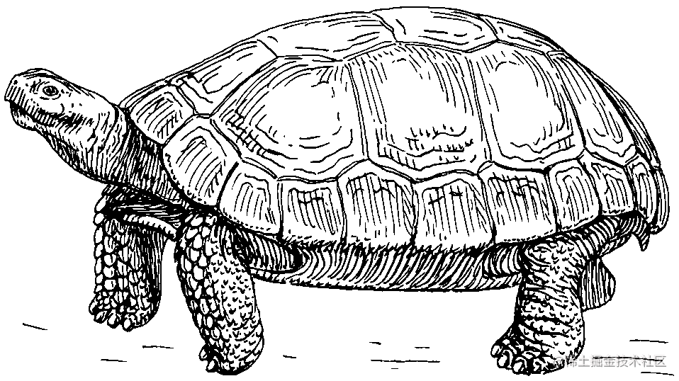 Tortoise ORM