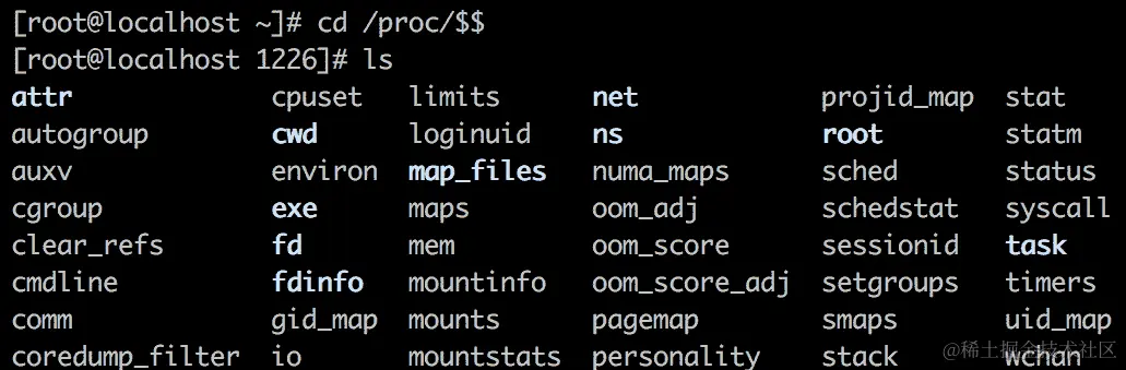 导航到/proc 目录并使用 ls 列出其所有内容