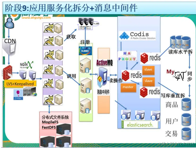 image-20230310225758832