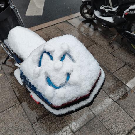 邪王转世腿毛君于2022-12-02 08:18发布的图片