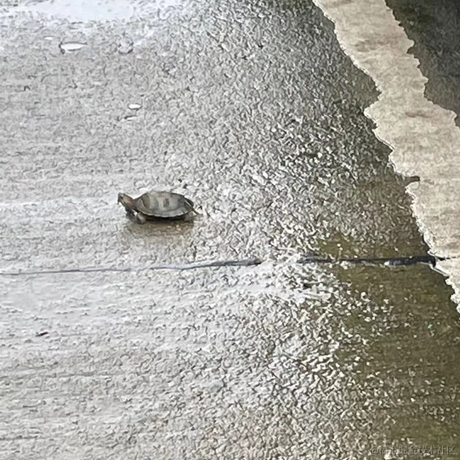 好奇派对于2023-06-19 13:59发布的图片