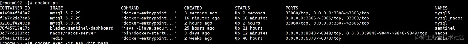 image-20220904132114586