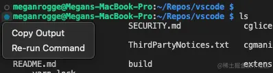 Command decoration context menu showing Re-run Command and Copy Output actions