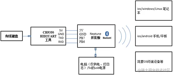 基于Neptune开发板的键盘蓝牙模块DIY指南