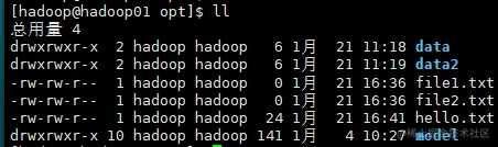 image-20210121182449289