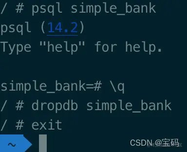 命令行操作postgres容器交互