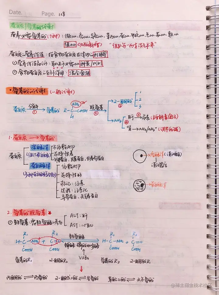 生化手写笔记.pdf
