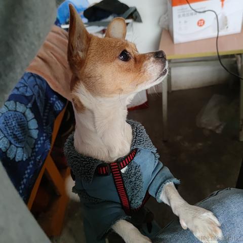 哈莉奎茵于2023-01-15 18:14发布的图片