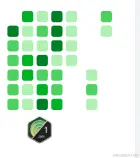 image-20240205091920149