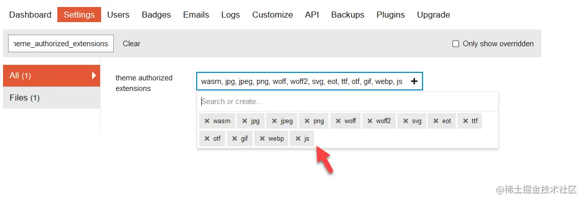 theme_authorized_extensions-js