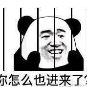 霞哥于2023-04-18 08:18发布的图片