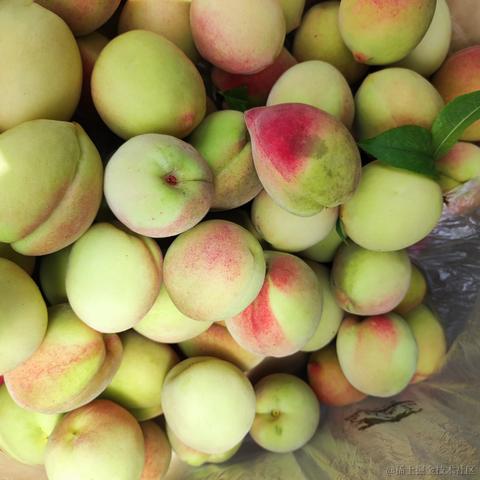 pdudo于2023-06-23 14:03发布的图片