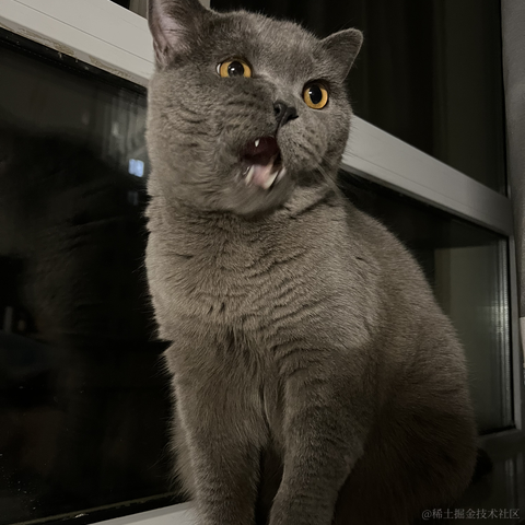 bellaQAQ于2023-06-30 09:03发布的图片