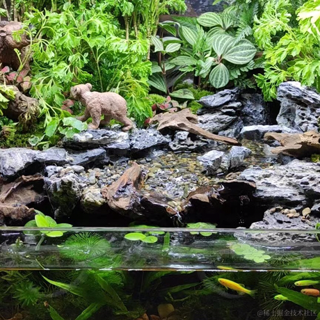 掘金用户爱中奖于2023-05-12 20:29发布的图片