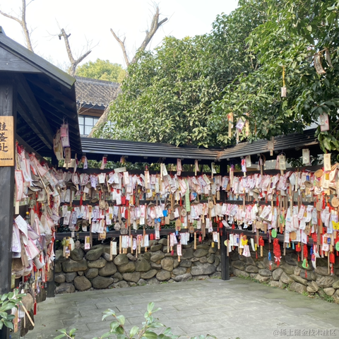 夜果子于2023-03-16 09:34发布的图片